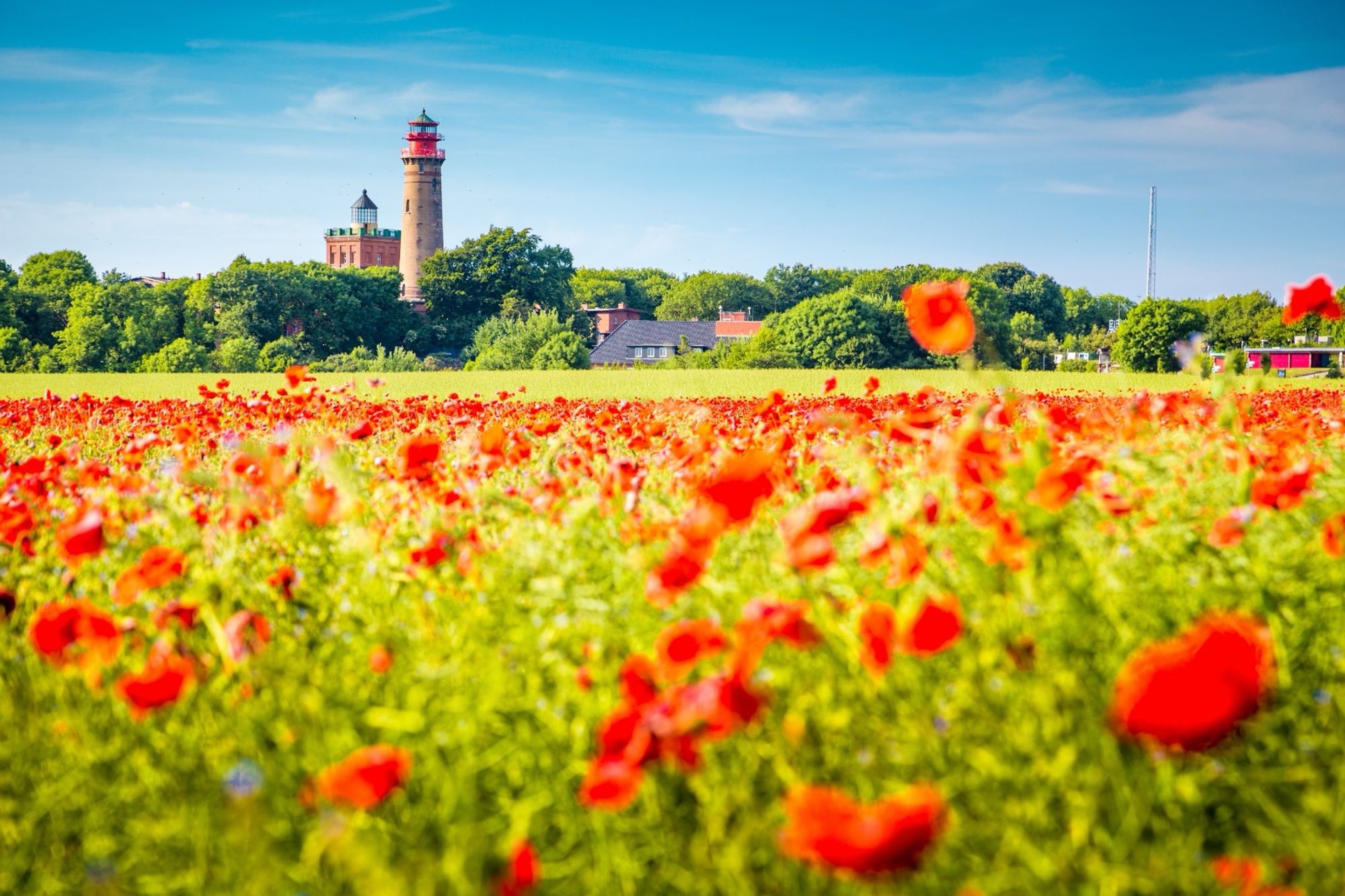 Von Wiek nach Kap Arkona