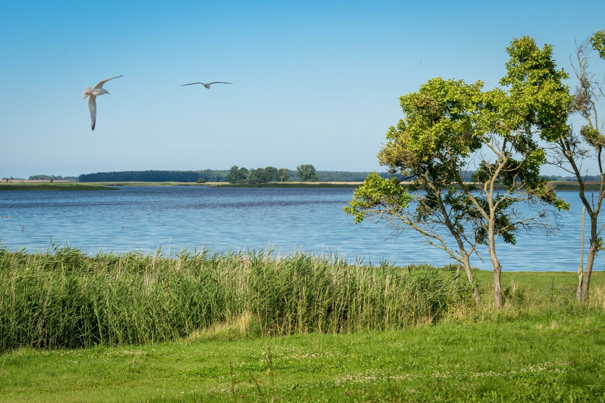 Von Ummanz nach Hiddensee